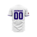 Esports-LSU-Baseball-Jersey-Back-3.png